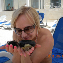 фото из отзыва ID 1983244