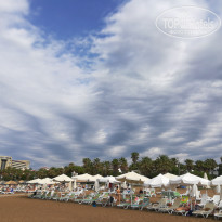 фото из отзыва ID 1983486