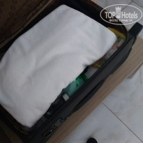 фото из отзыва ID 1983612