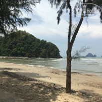 фото из отзыва ID 1983653