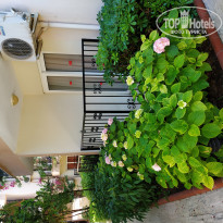 фото из отзыва ID 1983781