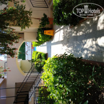 фото из отзыва ID 1983781