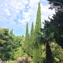 фото из отзыва ID 1983954