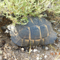 фото из отзыва ID 1984050