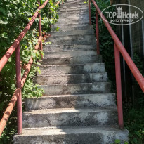 фото из отзыва ID 1984057