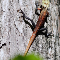 фото из отзыва ID 1984045