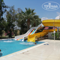 фото из отзыва ID 1984131