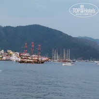 фото из отзыва ID 1984208