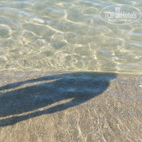 фото из отзыва ID 1984192