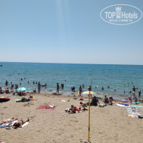 фото из отзыва ID 1984192