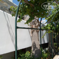 фото из отзыва ID 1984226