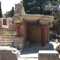 фото из отзыва ID 1984095