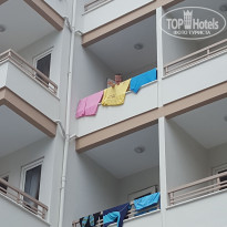 фото из отзыва ID 1984275