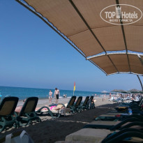 фото из отзыва ID 1984331