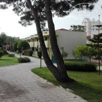 фото из отзыва ID 1982276