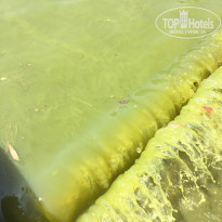 фото из отзыва ID 1984377