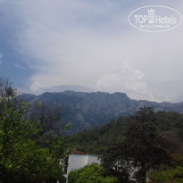 фото из отзыва ID 1984435