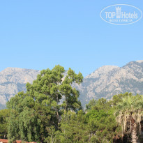 фото из отзыва ID 1984435