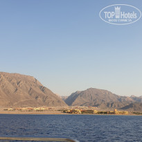 фото из отзыва ID 1984468