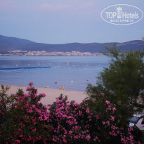 фото из отзыва ID 1984508