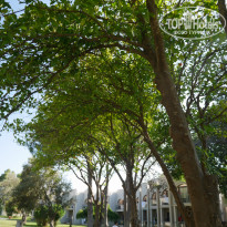 фото из отзыва ID 1984508