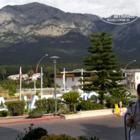 фото из отзыва ID 1983985