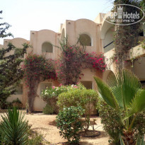 фото из отзыва ID 1983348