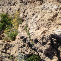 фото из отзыва ID 1984677