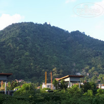 фото из отзыва ID 1984632