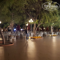 фото из отзыва ID 1984715