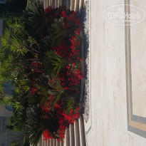 фото из отзыва ID 1984715