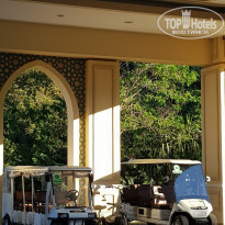 фото из отзыва ID 1984715