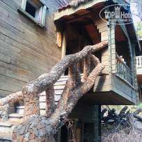 фото из отзыва ID 1984710