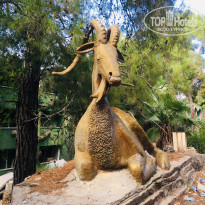 фото из отзыва ID 1984710