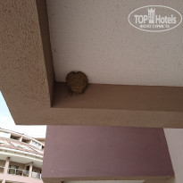 фото из отзыва ID 1984732