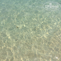 фото из отзыва ID 1984793