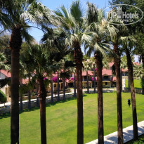 фото из отзыва ID 1984855