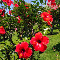 фото из отзыва ID 1984855