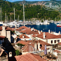 фото из отзыва ID 1984930