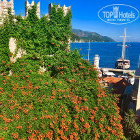 фото из отзыва ID 1984930