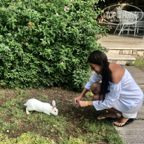 фото из отзыва ID 1984965