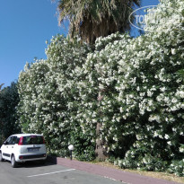 фото из отзыва ID 1984990