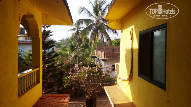 New photos from tourists The Summer House