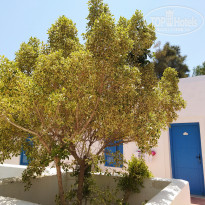 фото из отзыва ID 1985145