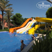 фото из отзыва ID 1985138