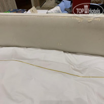 фото из отзыва ID 1985193