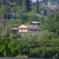 фото из отзыва ID 1985201