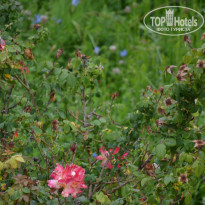 фото из отзыва ID 1985201