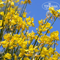 фото из отзыва ID 1985201