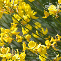 фото из отзыва ID 1985201